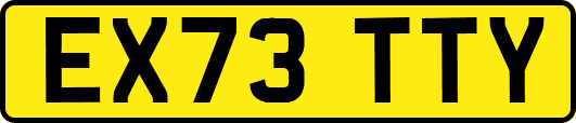 EX73TTY