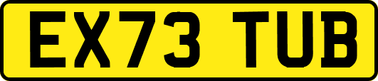 EX73TUB