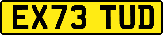 EX73TUD