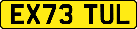 EX73TUL