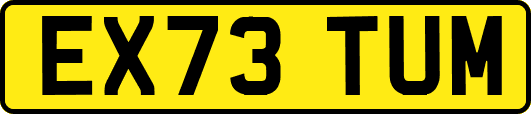 EX73TUM