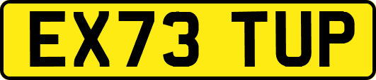 EX73TUP