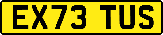 EX73TUS