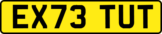 EX73TUT