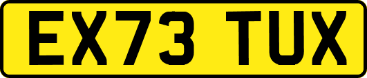 EX73TUX