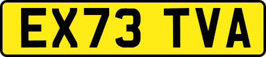 EX73TVA