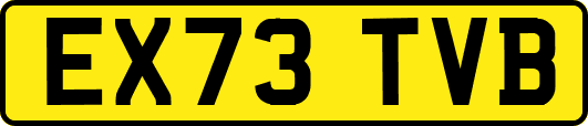 EX73TVB