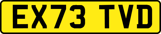 EX73TVD