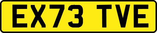 EX73TVE