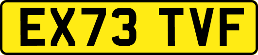 EX73TVF
