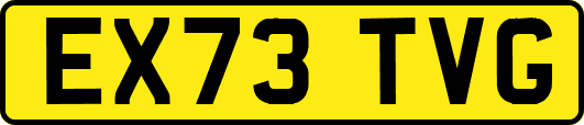 EX73TVG