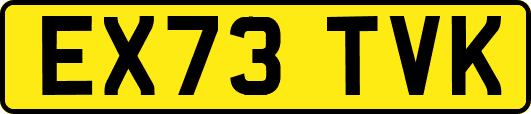 EX73TVK