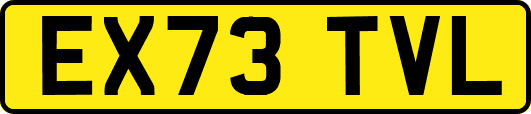 EX73TVL