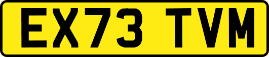 EX73TVM