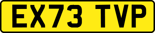 EX73TVP