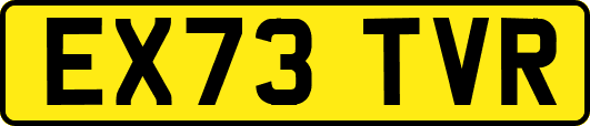 EX73TVR