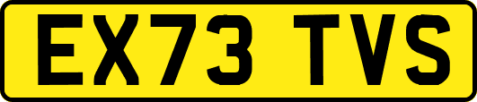 EX73TVS