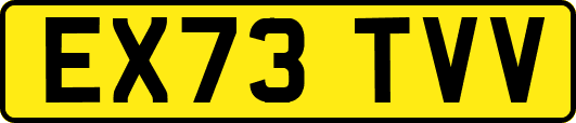 EX73TVV
