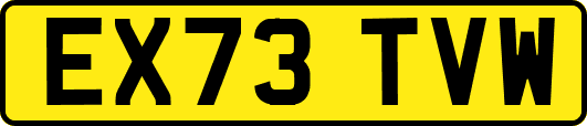 EX73TVW