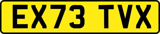 EX73TVX