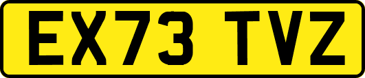 EX73TVZ