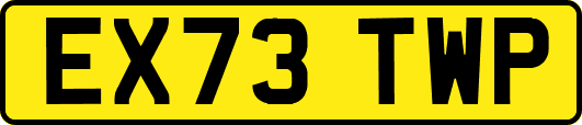 EX73TWP