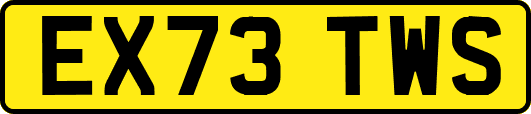EX73TWS