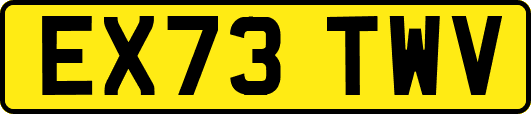 EX73TWV