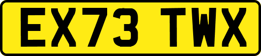 EX73TWX