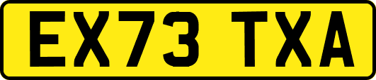 EX73TXA