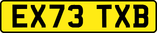 EX73TXB