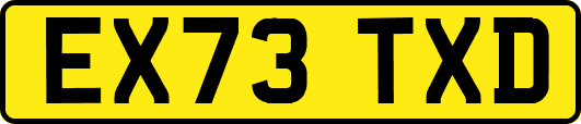 EX73TXD
