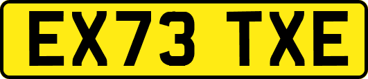EX73TXE