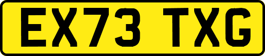 EX73TXG