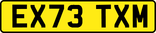 EX73TXM