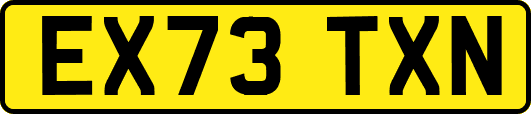 EX73TXN