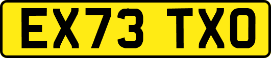 EX73TXO