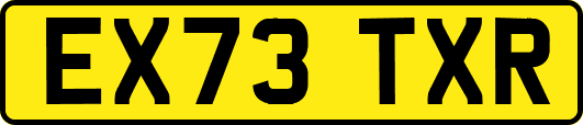 EX73TXR