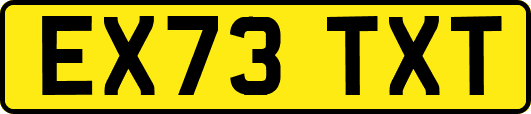 EX73TXT