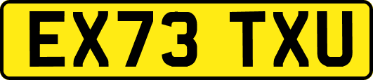 EX73TXU