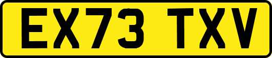 EX73TXV