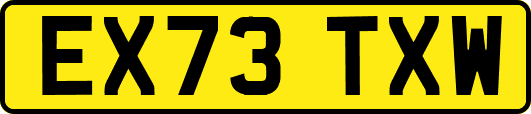 EX73TXW