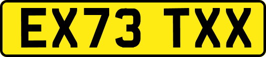 EX73TXX