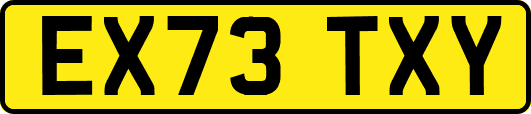 EX73TXY