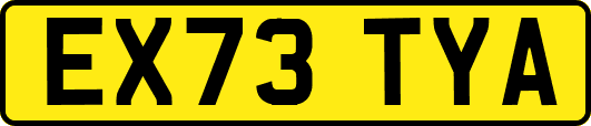 EX73TYA