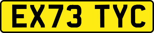 EX73TYC