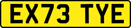 EX73TYE
