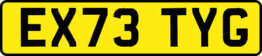 EX73TYG