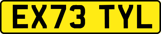 EX73TYL