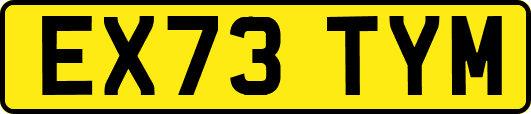 EX73TYM